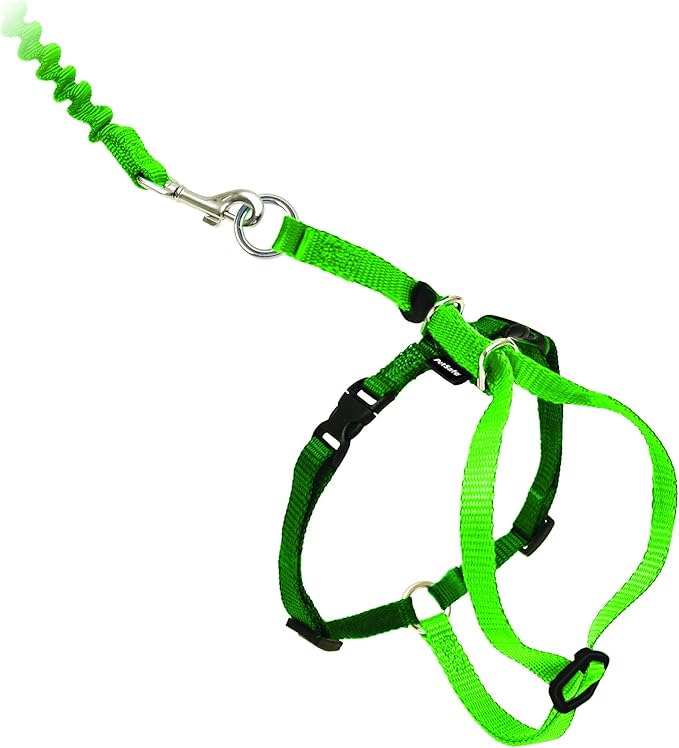 PetSafe Come with Me Kitty Harness and Bungee Leash by PetSafe