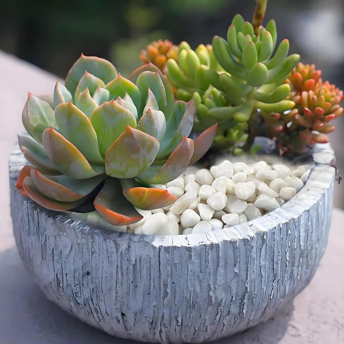 FANTIAN 2 Pounds White Pebbles for Indoor Plants, 3/8 Inch Polished White Rocks - Image 5