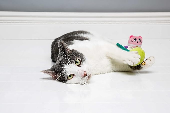 Cattraction with Silver Vine & Catnip Macaron Mice - Image 4