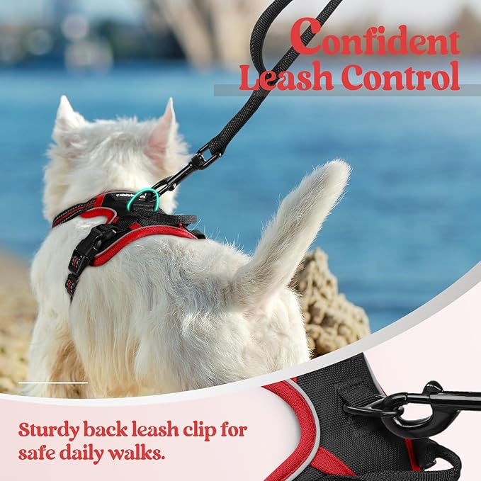 rabbitgoo Dog Harness No Pull - Image 6