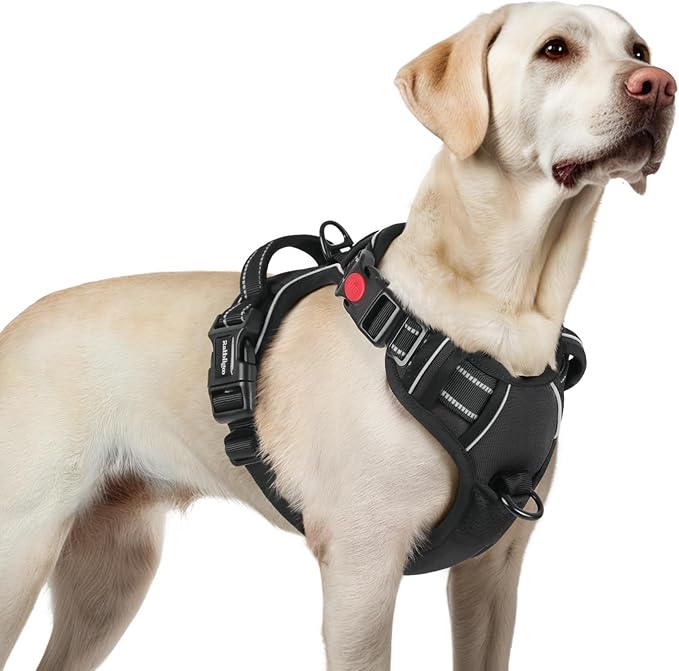 rabbitgoo Dog Harness for Large, No Pull Easy On & Off by rabbitgoo