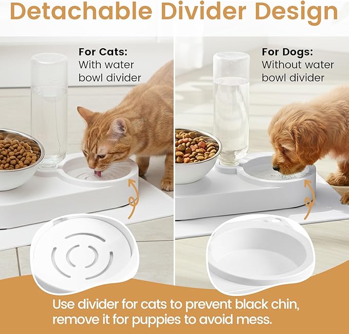 2 in 1 Elevated Dog Cat Bowls, 15°Tilted Pets Water and Food Bowl Set, Pet - Image 7
