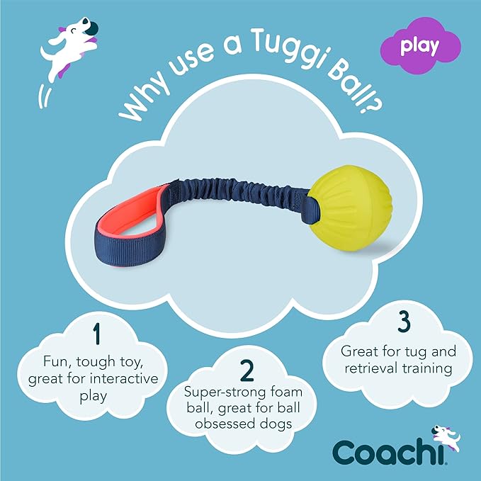 Coachi Tuggi Ball - Image 2