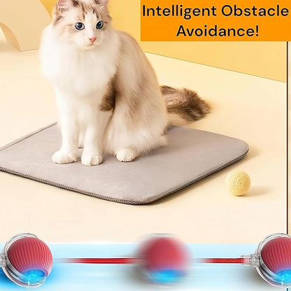 Interactive Electric Automatic Rolling Moving Rechargeable Self Play - Image 6