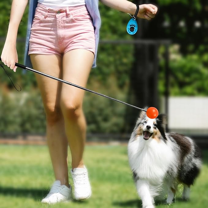 Training Kit - 1 Target Stick, 1 Training Clicker, 1 Whistle - Dog Training - Image 6
