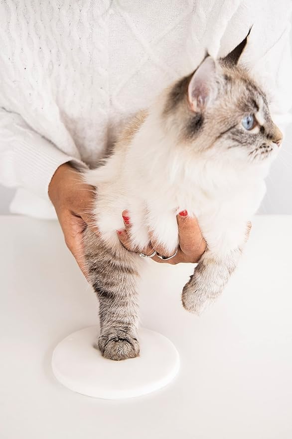 Kate & Milo Holiday Pawprints Christmas Ornament, DIY No Mess Clay Pawprint - Image 6
