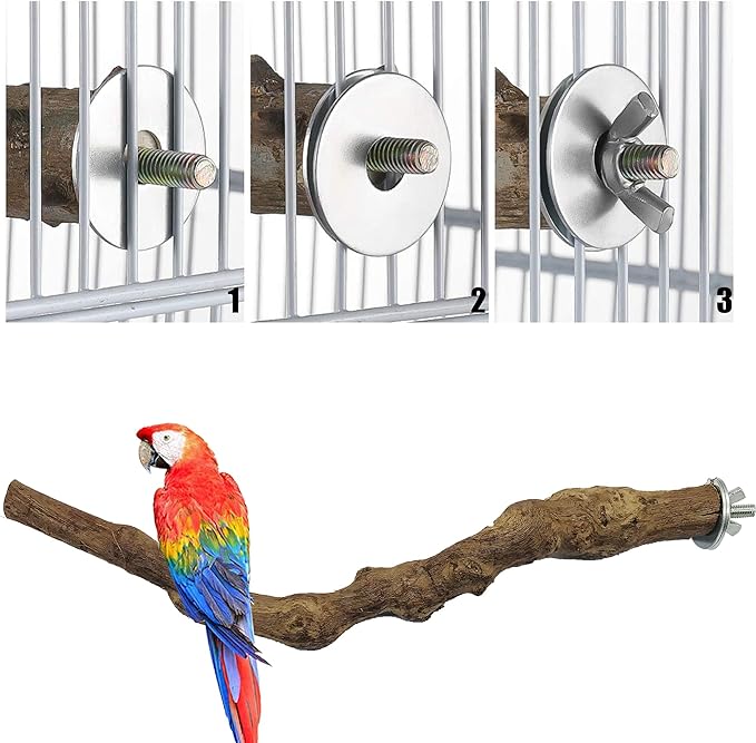 2 PCS Natural Grape Stick Fork Bird Perch Bird Standing Stick Chewing Bird Toys - Image 4