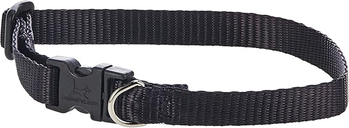 LupinePet Basics 1/2" Black 10-16" Adjustable Collar by LupinePet