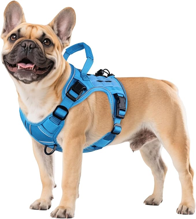 WINGOIN Blue Tactical Dog Harness by WINGOIN