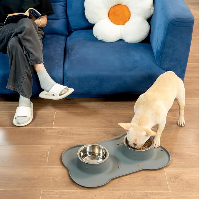 Conlun Medium Pet Feeding Station, 29oz Stainless Steel Dog Bowls Set, No Spill - Image 9