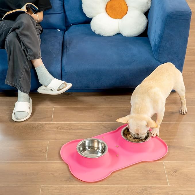 Conlun Medium Pet Feeding Station, 29oz Stainless Steel Dog Bowls Set, No Spill - Image 9
