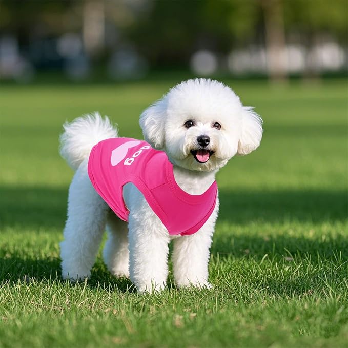 Pistha 4 Pack Dog Shirts Summer Printed Puppy Clothes Cute Sleeveless Pet T - Image 4