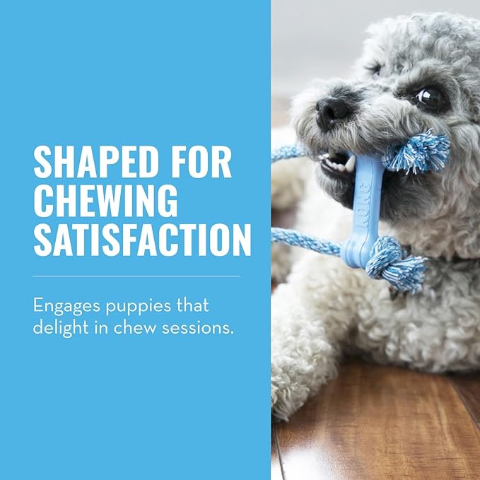 KONG Puppy Goodie Bone with Rope - Image 2
