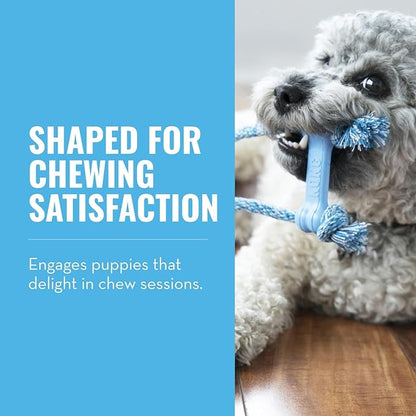 KONG Puppy Goodie Bone with Rope - Image 2