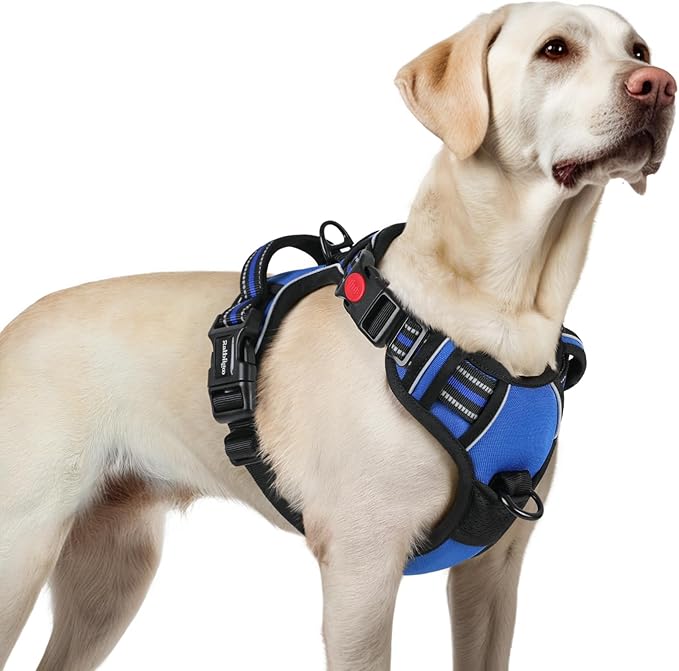 rabbitgoo Dog Harness for Large, No Pull Easy On & Off by rabbitgoo
