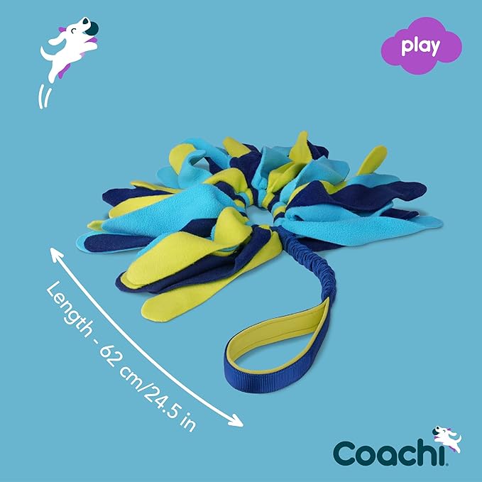 Coachi Tuggi Spider - Image 4