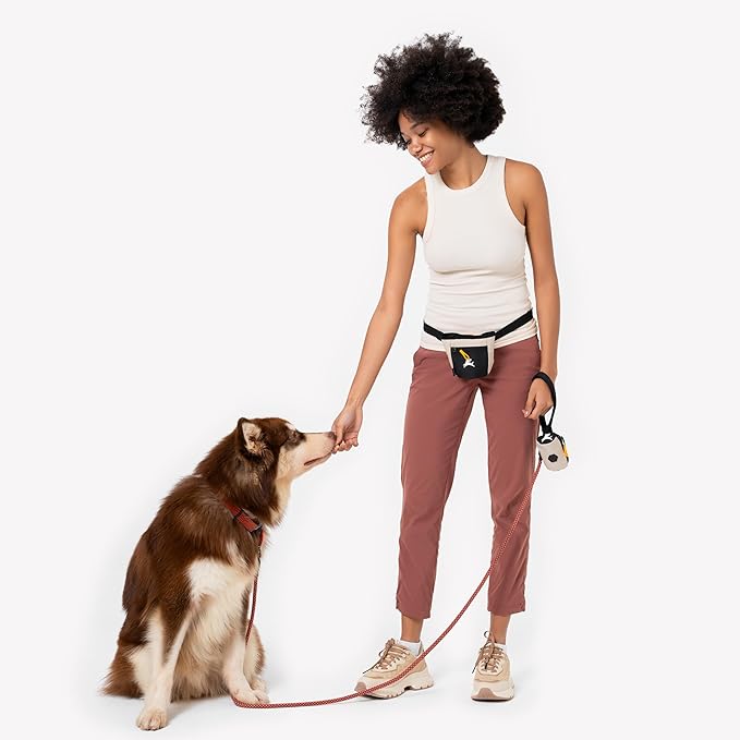 OllyDog Goodie Treat Bag, Dog Treat Pouch, Waist Belt Clip - Image 4