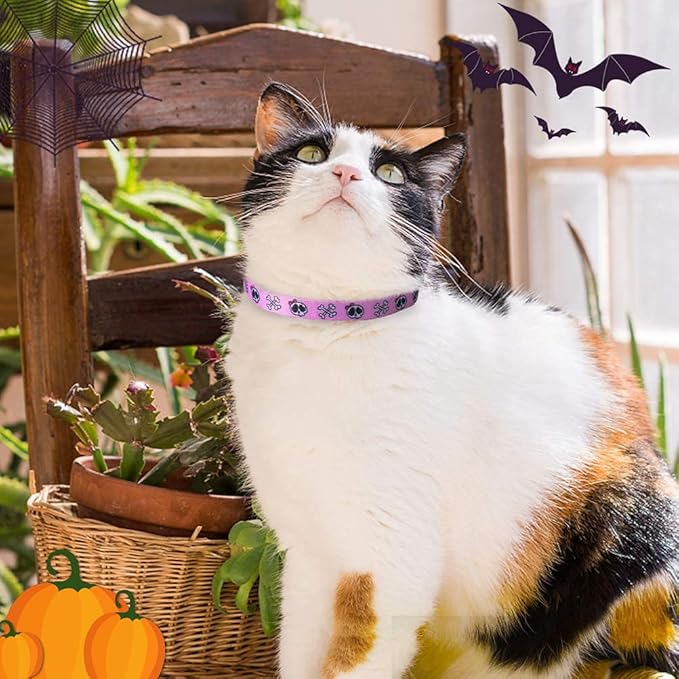 PUPTECK Cat Collar Breakaway - Image 8
