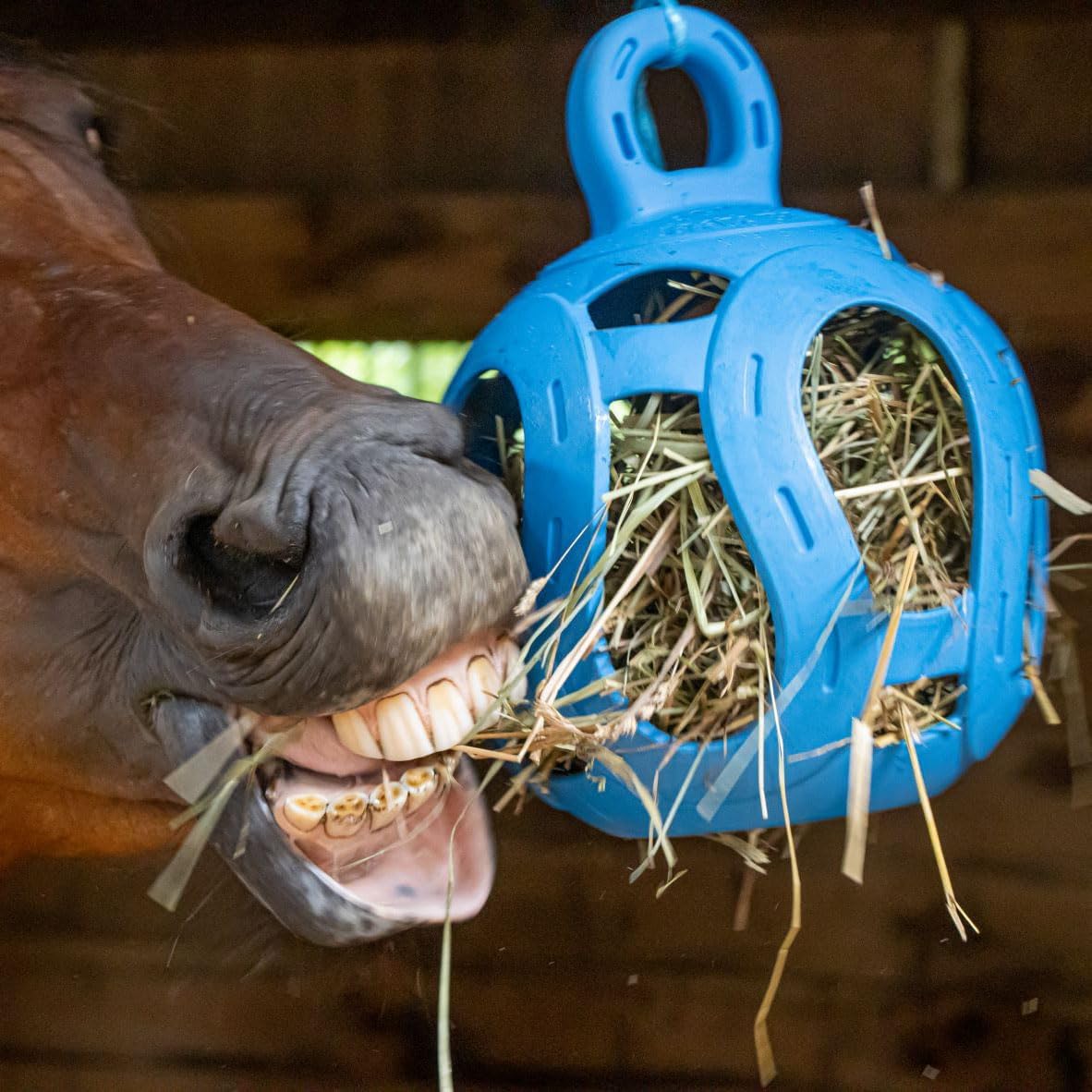 Horsemen's Pride Jolly Hay Ball Stall Toy for Horses, Blue, 8"