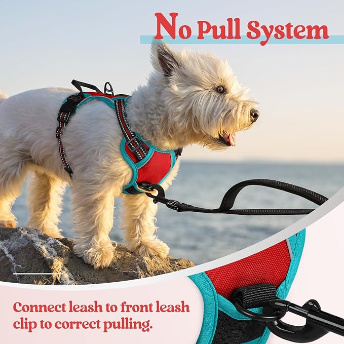 rabbitgoo Dog Harness No Pull - Image 5