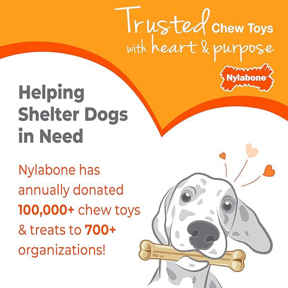 Nylabone New Puppy Power Chew Stages, Soothing Puppy Teething Toys, Chew Bones - Image 13