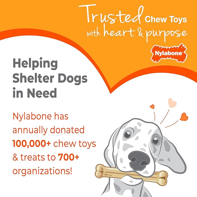 Nylabone Puppy Chew Teething Bone, Toys - Image 8
