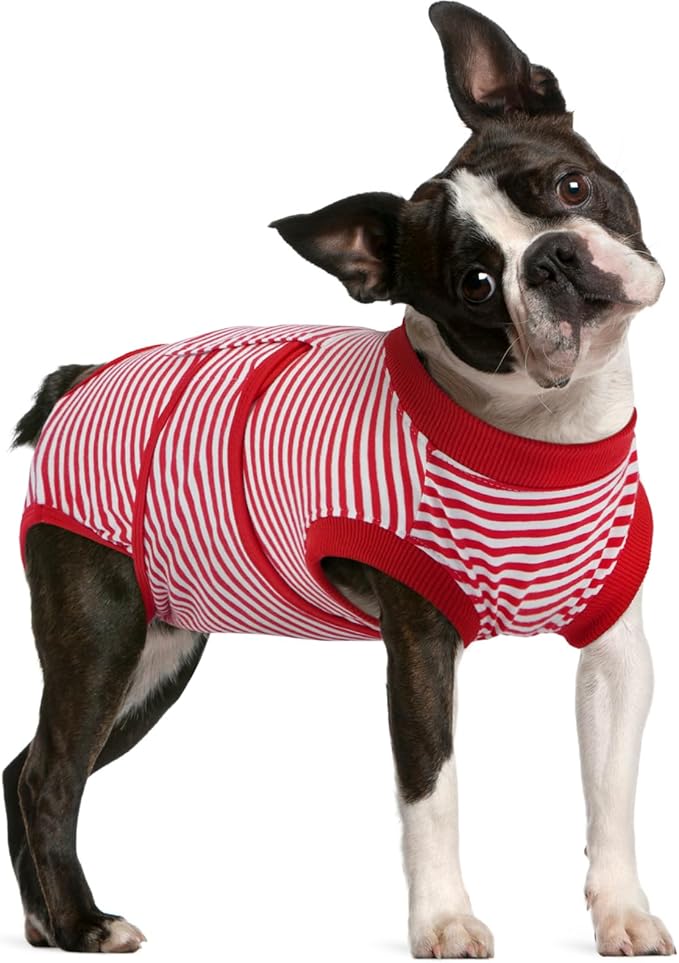 FUAMEY Dog Recovery Suit Male, Dogs Surgery Neuter Suits Puppy Spay Shirts by FUAMEY