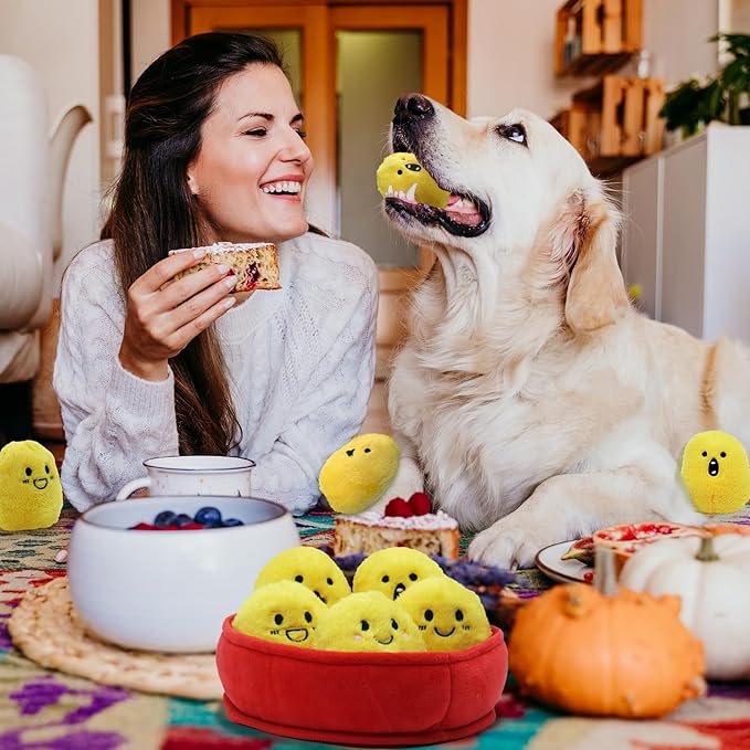 YZHDUXIU Dog Squeak Toys, 6 Pack Chicken Nugget Dogs Push Toys Interactive - Image 7