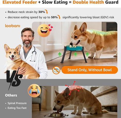 LOOBANI Raised Dog Bowl Stand: Fits - Image 4