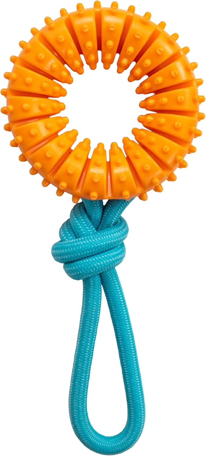 Dental Chew Wheel Dog Toy – Ring & Rope Tug, Soft on Teeth, Moderate Chewers by Pupstages