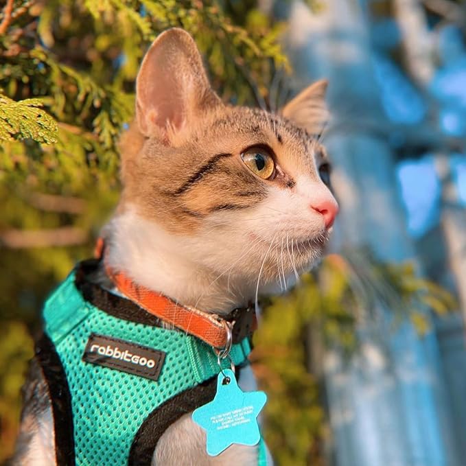 rabbitgoo Cat Harness and Leash Set, Escape Proof Vest Harness - Image 9