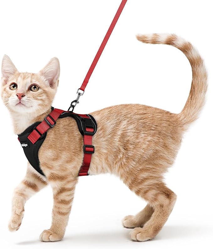 rabbitgoo Cat Harness and Leash Set, Escape Proof Kitten Harness by rabbitgoo