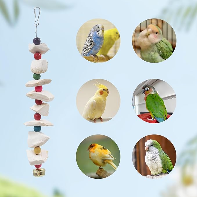 2 Pack Bird Toys with Cuttlebone, Parakeet Toys, Bird Beak Grinding Stone - Image 4