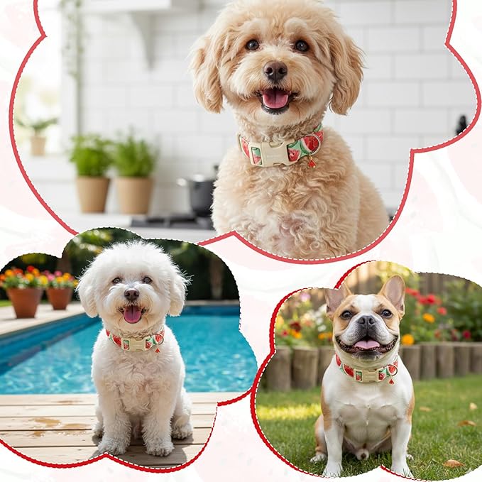 Summer Dog Collar with Watermelon, Adjustable Cotton Puppy Collars - Image 4