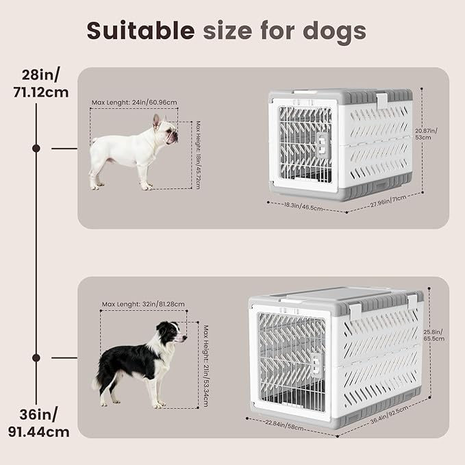 Collapsible Dog Crate for Large/Medium Dogs - Image 3