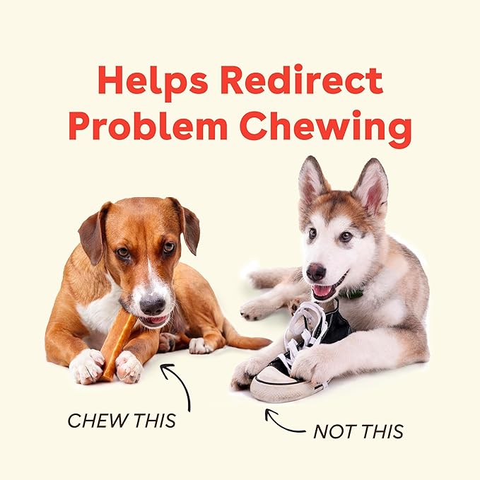 Pupford Yak Cheese Chews for Dogs & Teething Puppies, Long-Lasting Himalayan - Image 2