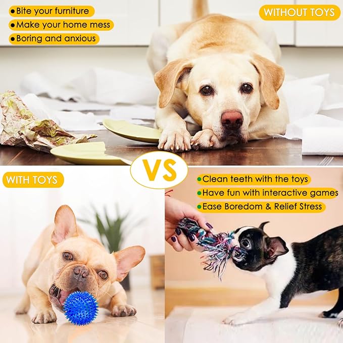 Aipper Dog Toys 25 Pack for Fun and Teeth Cleaning, Puppy Chew Toys Pack - Image 6
