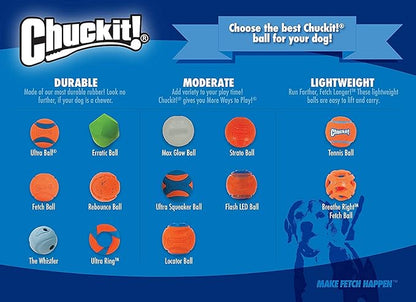 Chuckit! Ultra Squeaker Balls for Dogs, Floating Water Pet Toys, Durable Rubber - Image 6