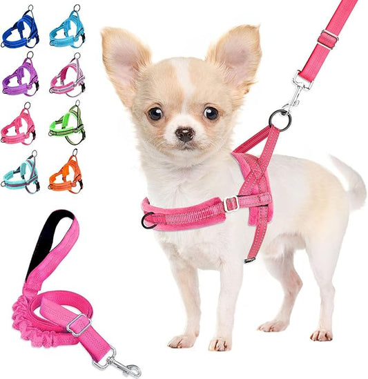 Lukovee No Pull Dog Harness and Leash Set, Soft Padded Small Dog Harness by Lukovee
