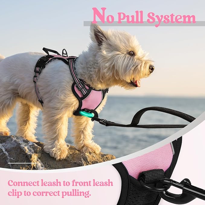 rabbitgoo Dog Harness No Pull - Image 5
