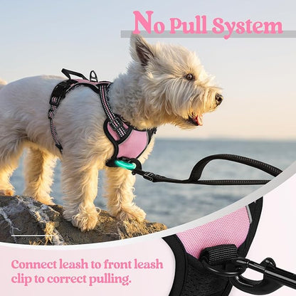 rabbitgoo Dog Harness No Pull - Image 5