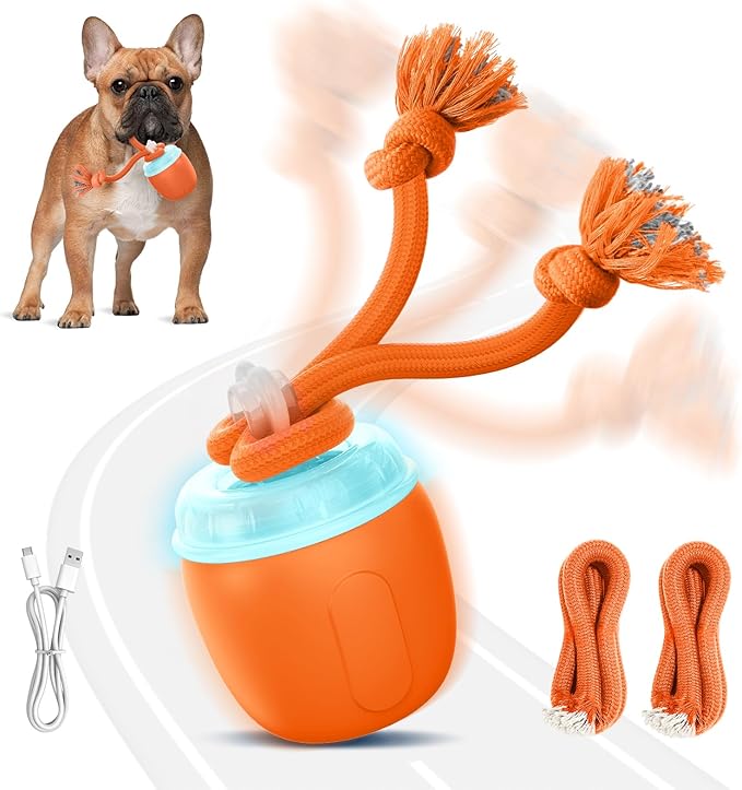 Interactive Dog Toys, Automatic Moving and Rolling Dogs Toy by Unknown