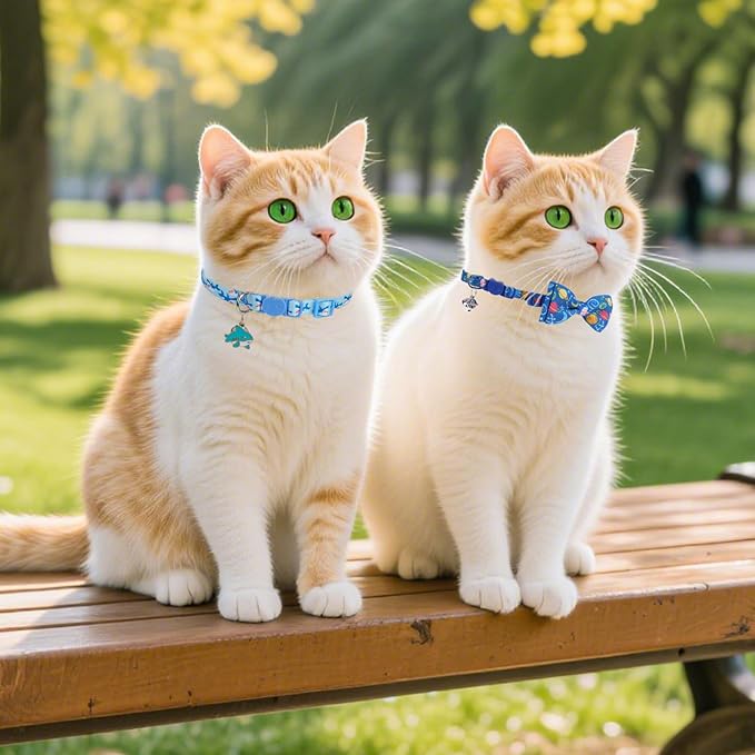 PUPTECK Cat Collar Breakaway - Image 9