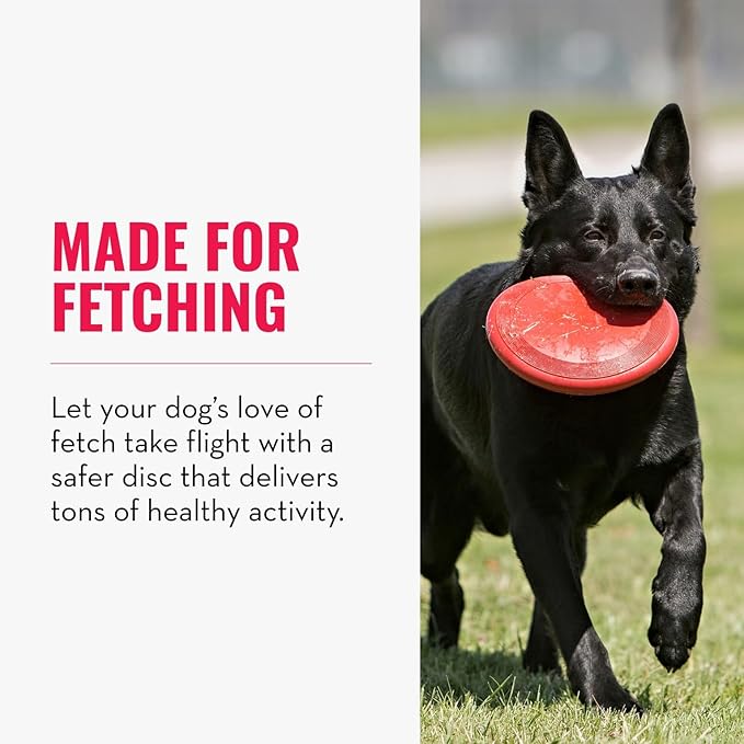 KONG Flyer - Durable Dog Toy for Outdoor Playtime - Natural Rubber Flying Disc - Image 4
