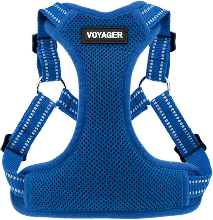 Best Pet Supplies Voyager Adjustable Step-in Flex Breathable Mesh Dog Harness by BestPetSuppliesLLC