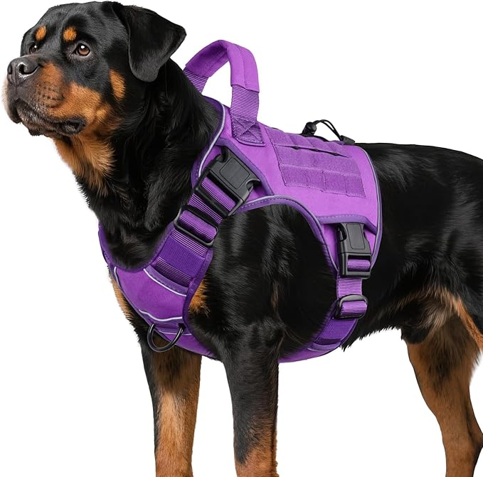 WINGOIN Purple Tactical Dog Harness by WINGOIN