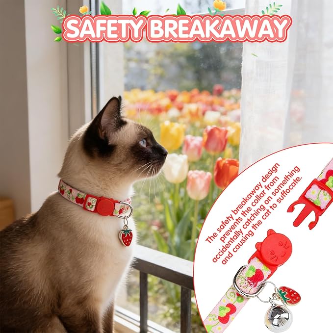 EXPAWLORER Flower Cat Collar Breakaway - Image 2