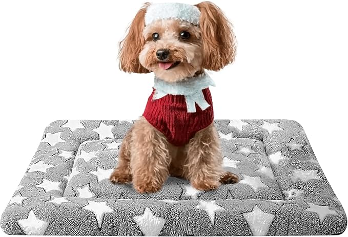 Dog Bed Mat, Reversible Crate Pad & Cute Dog Bed by FogkissComfyPawsHome
