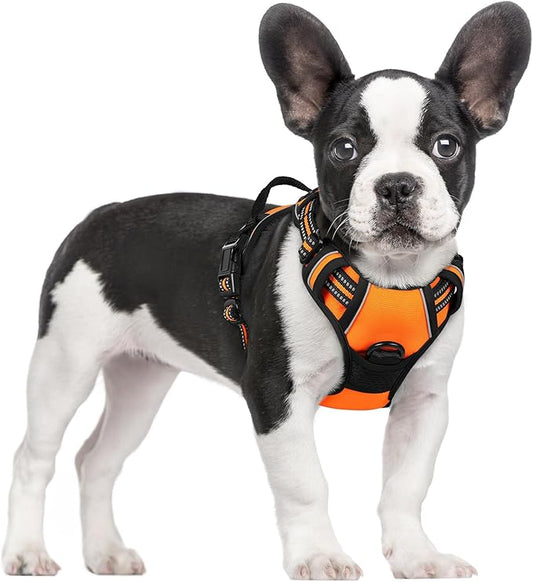 rabbitgoo Dog Harness No Pull by rabbitgoo