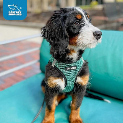 Voyager Step-in Air Dog Harness - Image 9
